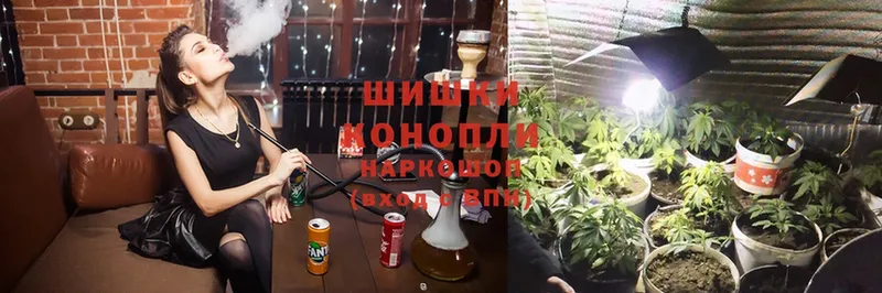 Конопля SATIVA & INDICA  наркота  Ворсма 